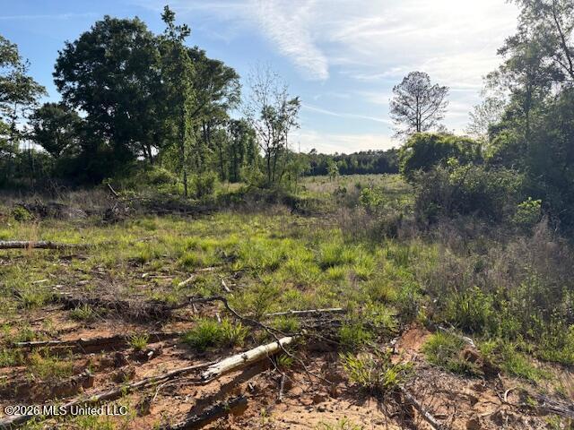 737 State Highway 902 Pulaski, MS 39152 - Photo 3 of 10 IMG_7575