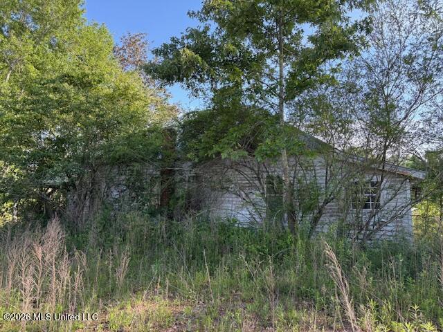 737 State Highway 902 Pulaski, MS 39152 - Photo 8 of 10 IMG_7571