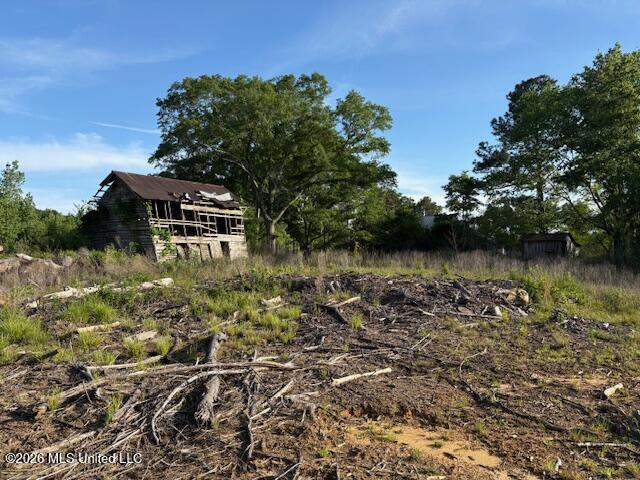 737 State Highway 902 Pulaski, MS 39152 - Photo 10 of 10 IMG_7576