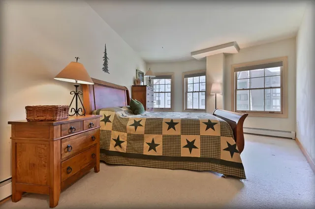 a bed room with a bed and windows