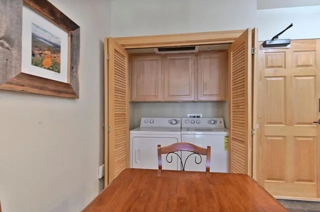 a view of a storage and utility room with closet
