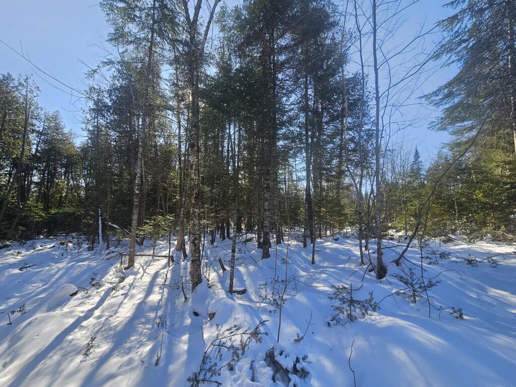 104 Town Road Lagrange, ME 04453 - Photo 5 of 30 5 North lot