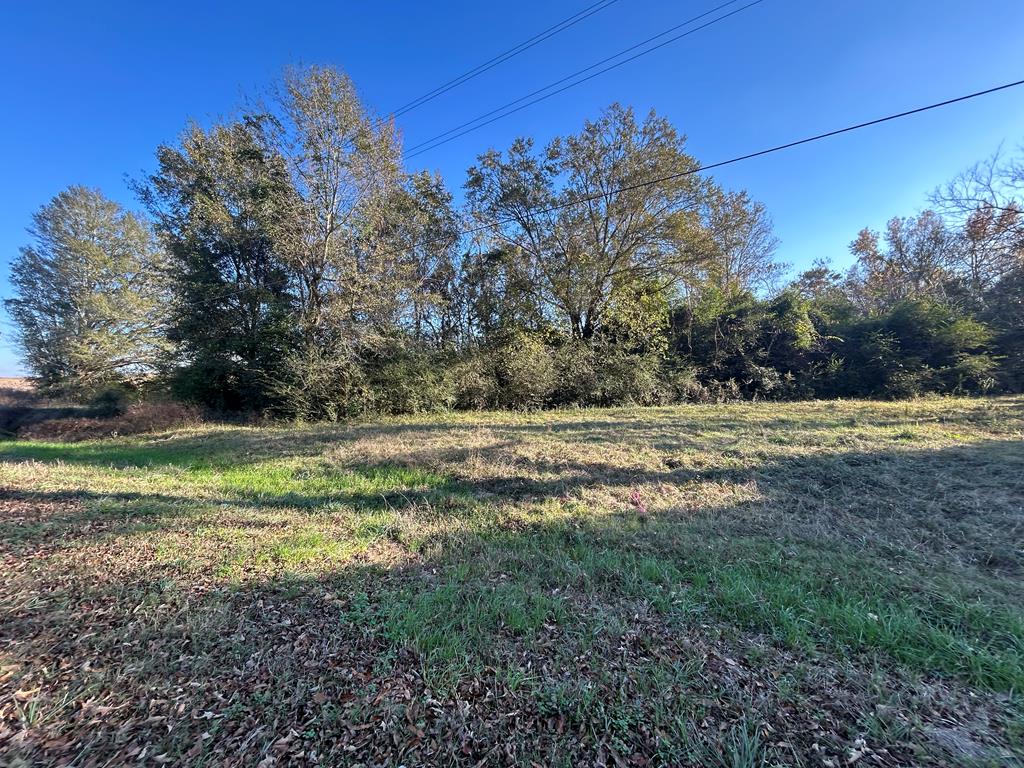 51.8-ac Hadden Road Dothan, AL 36301 - Photo 14 of 43