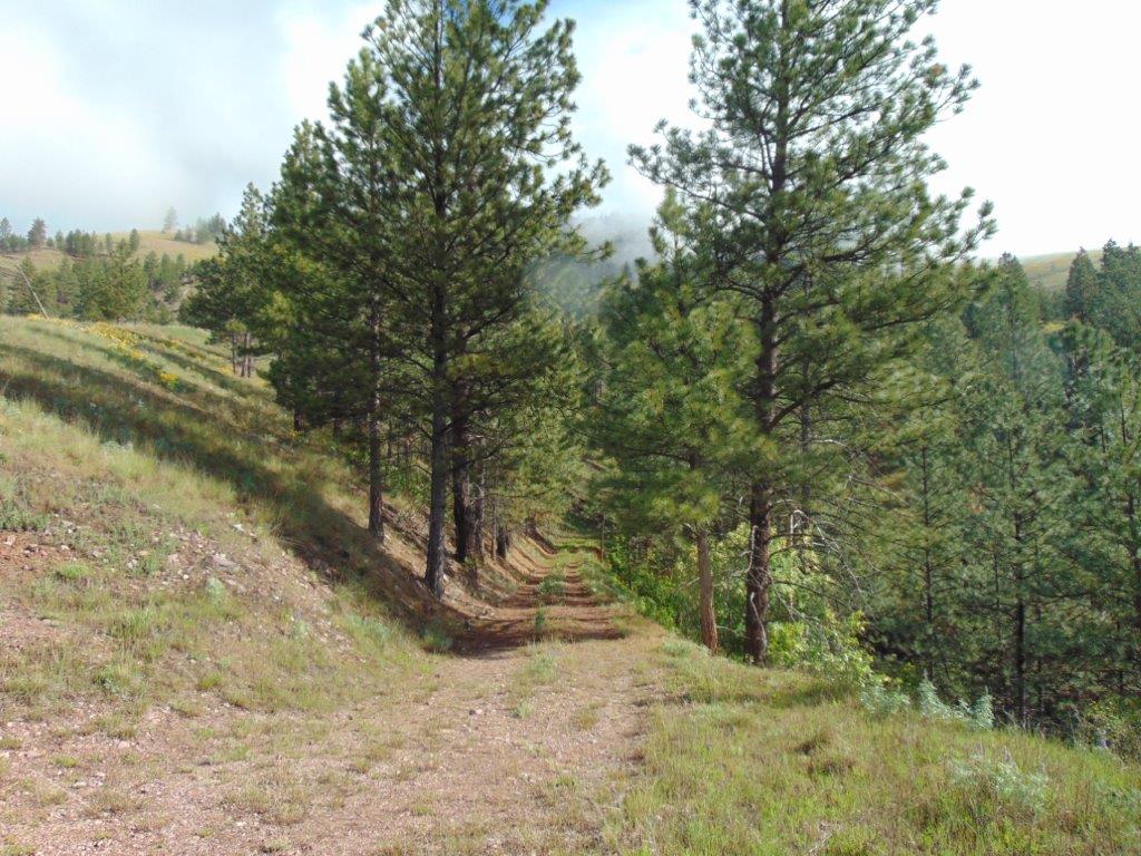 27235 Lazy Springs Road Clinton, MT 59825 - Photo 40 of 94 Gallery Image 40