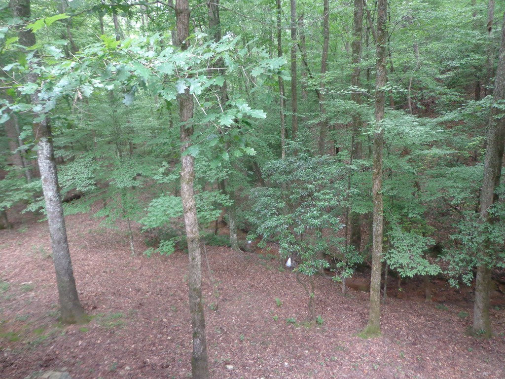 9547 Big Creek Road Ellijay, GA 30536 - Photo 23 of 81 Gallery Image 23