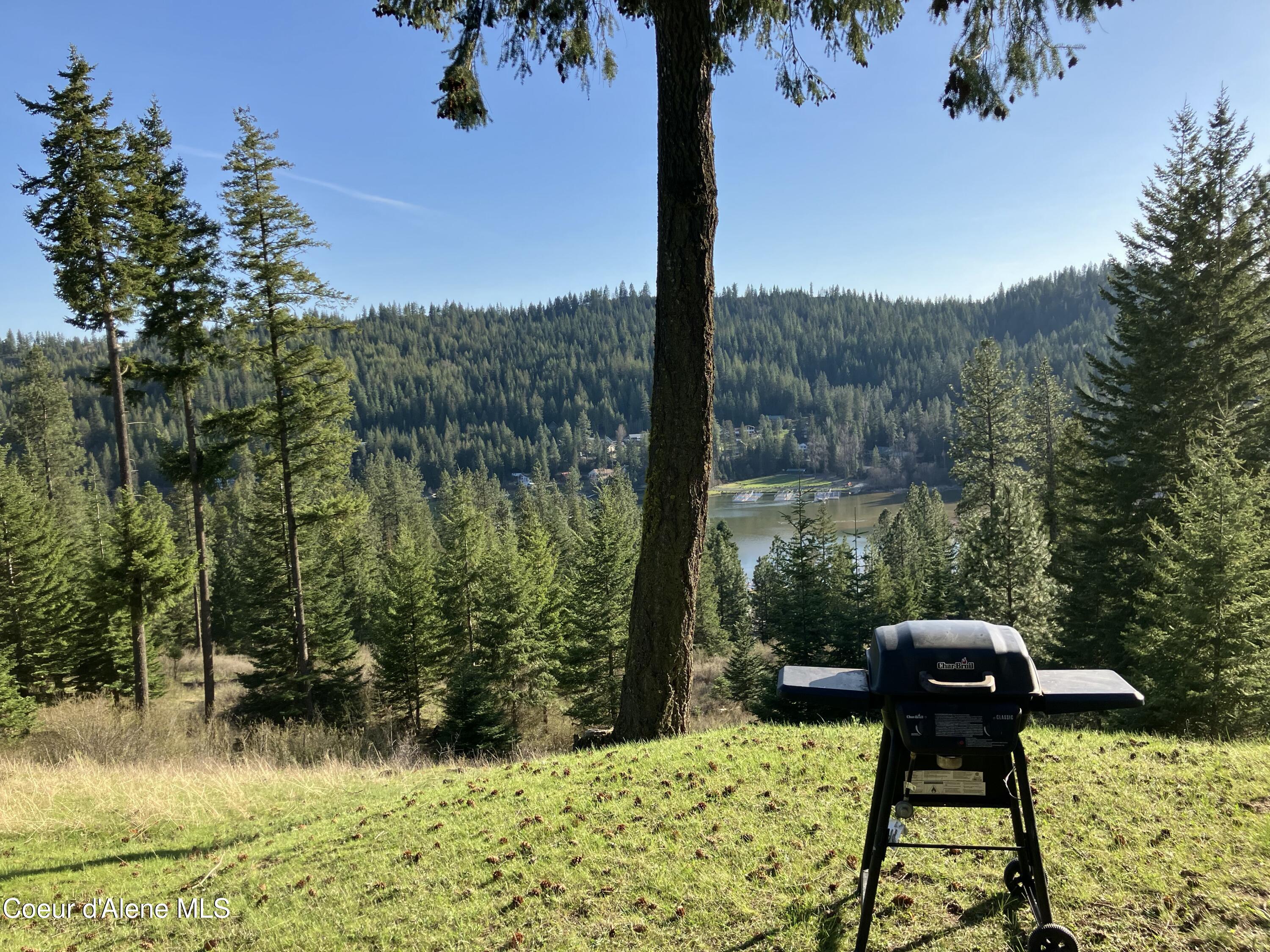 17762 Fire Road Coeur D'Alene, ID 83814 - Photo 15 of 27 IMG_4879