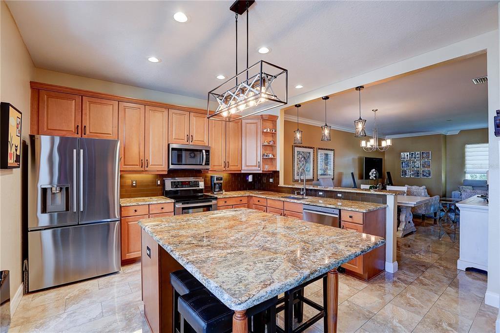 5518 Luminar Pointe Lane Apollo Beach, FL 33572 - Photo 18 of 50