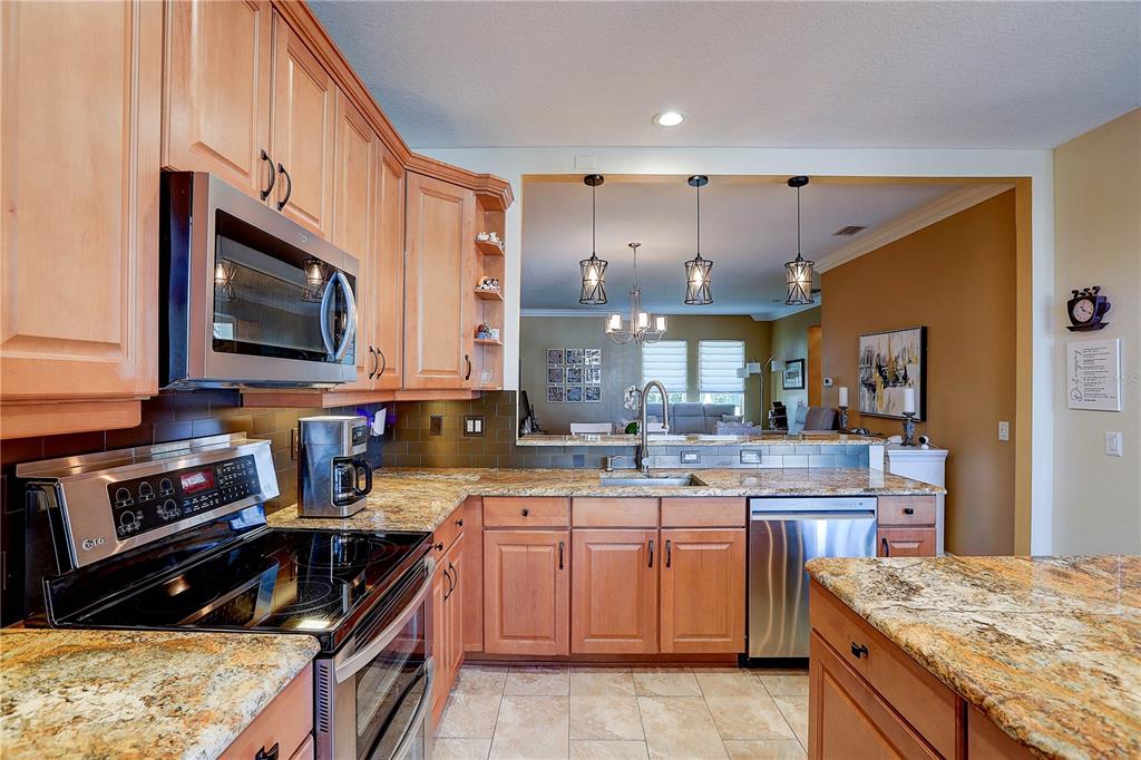 5518 Luminar Pointe Lane Apollo Beach, FL 33572 - Photo 19 of 50