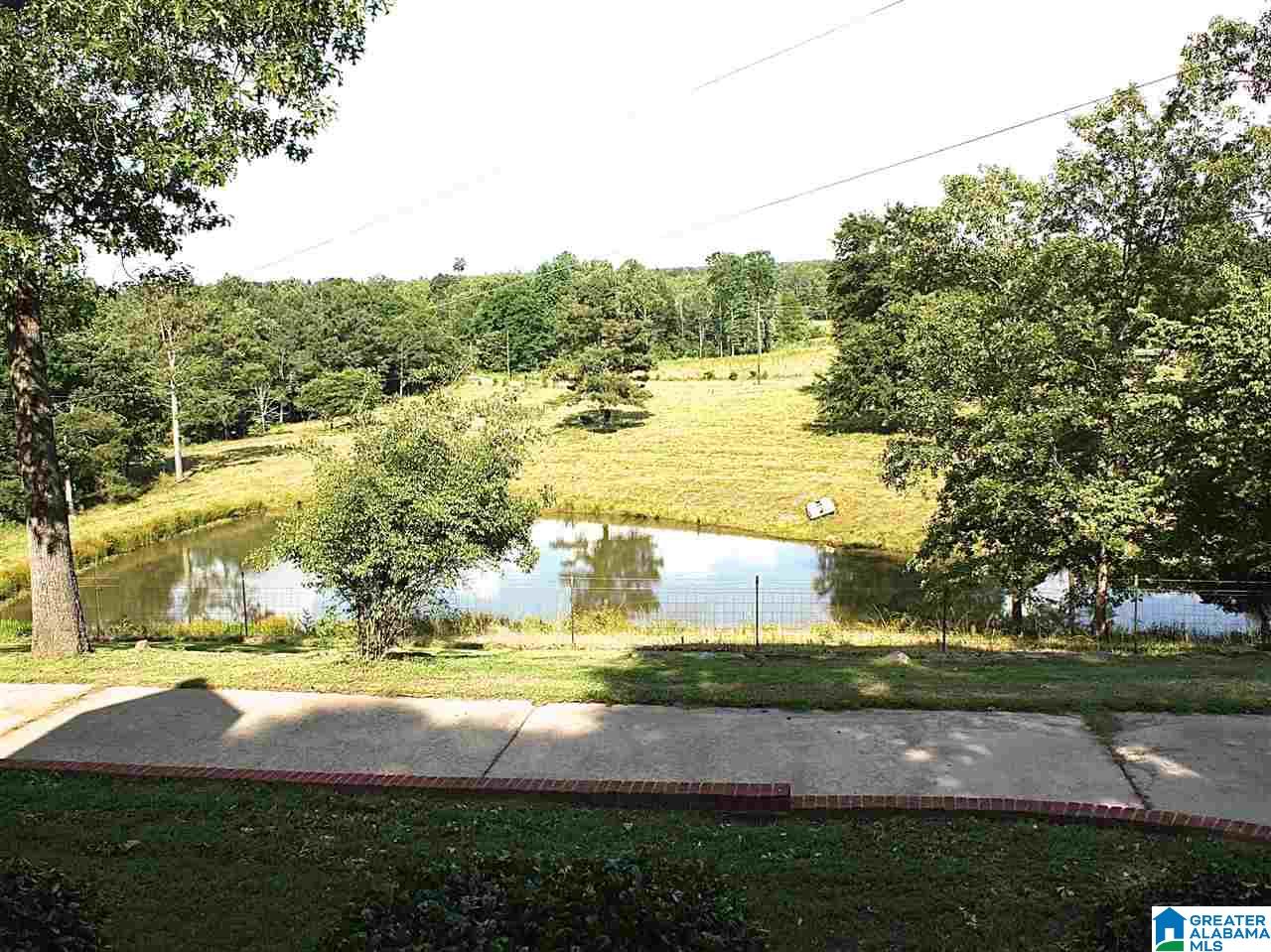919 Gip Yates Road Blountsville, AL 35031 - Photo 32 of 49