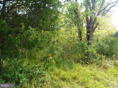 3 Shirley Road Charles Town, WV 25414 - Photo 3 of 5 View