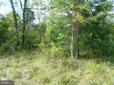 3 Shirley Road Charles Town, WV 25414 - Photo 4 of 5 View