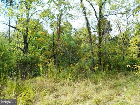 3 Shirley Road Charles Town, WV 25414 - Photo 5 of 5 View