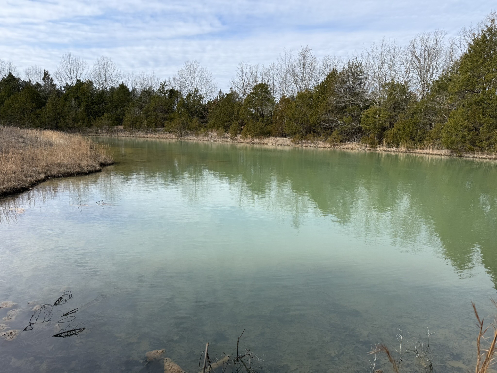 4492 Murray-Kittrell Road Readyville, TN 37149 - Photo 2 of 11