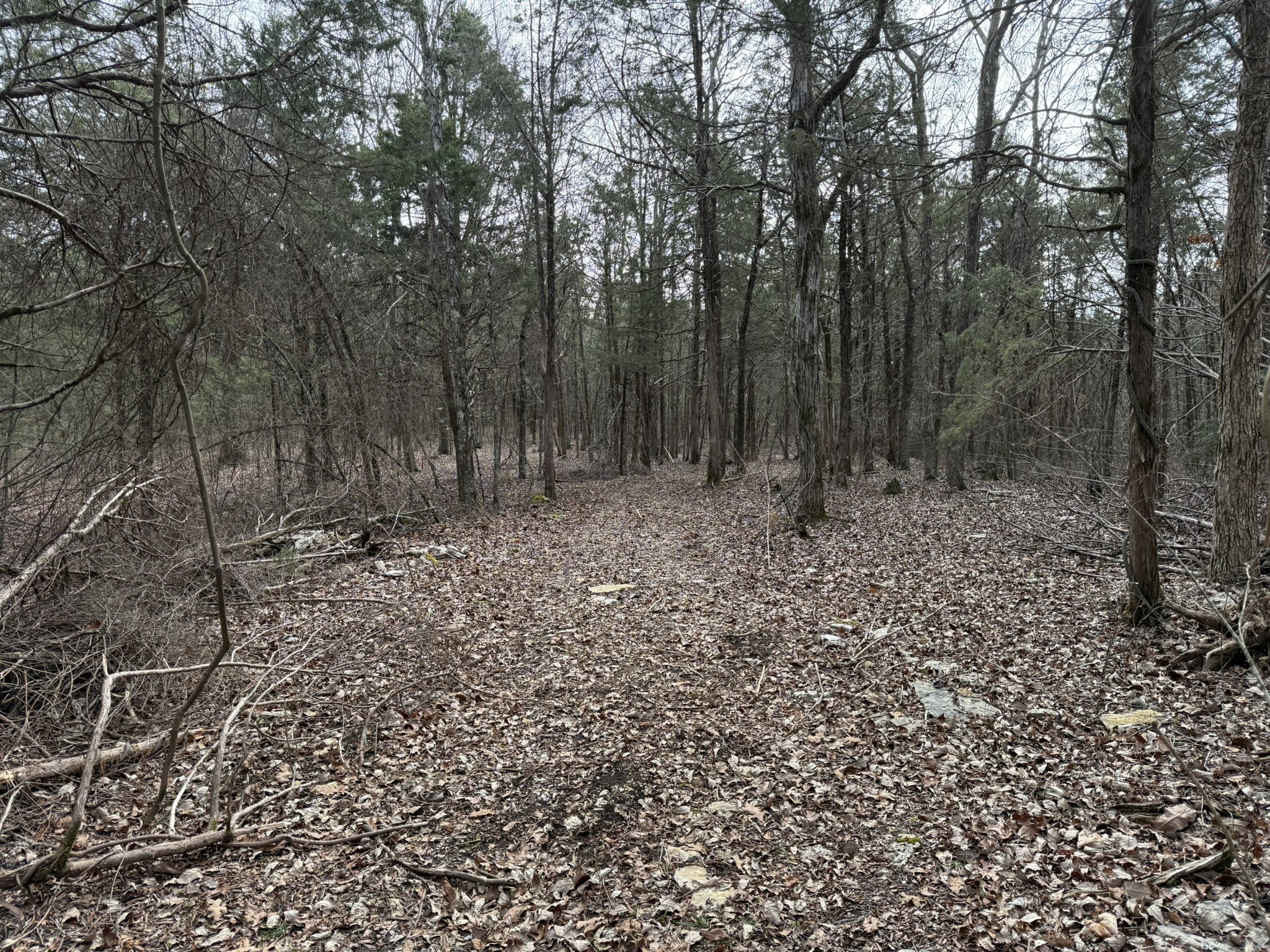 4492 Murray-Kittrell Road Readyville, TN 37149 - Photo 8 of 11