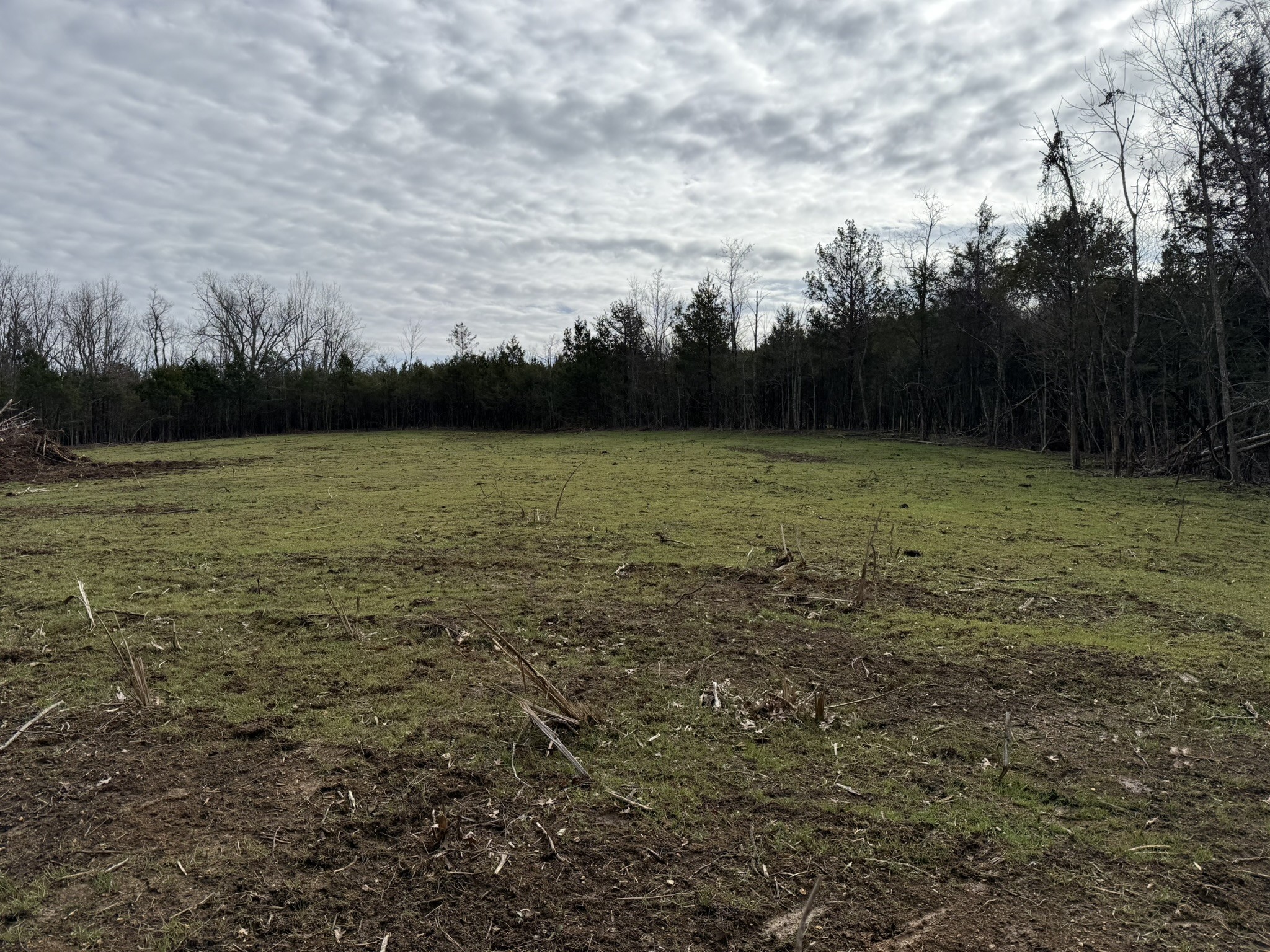 4492 Murray-Kittrell Road Readyville, TN 37149 - Photo 9 of 11