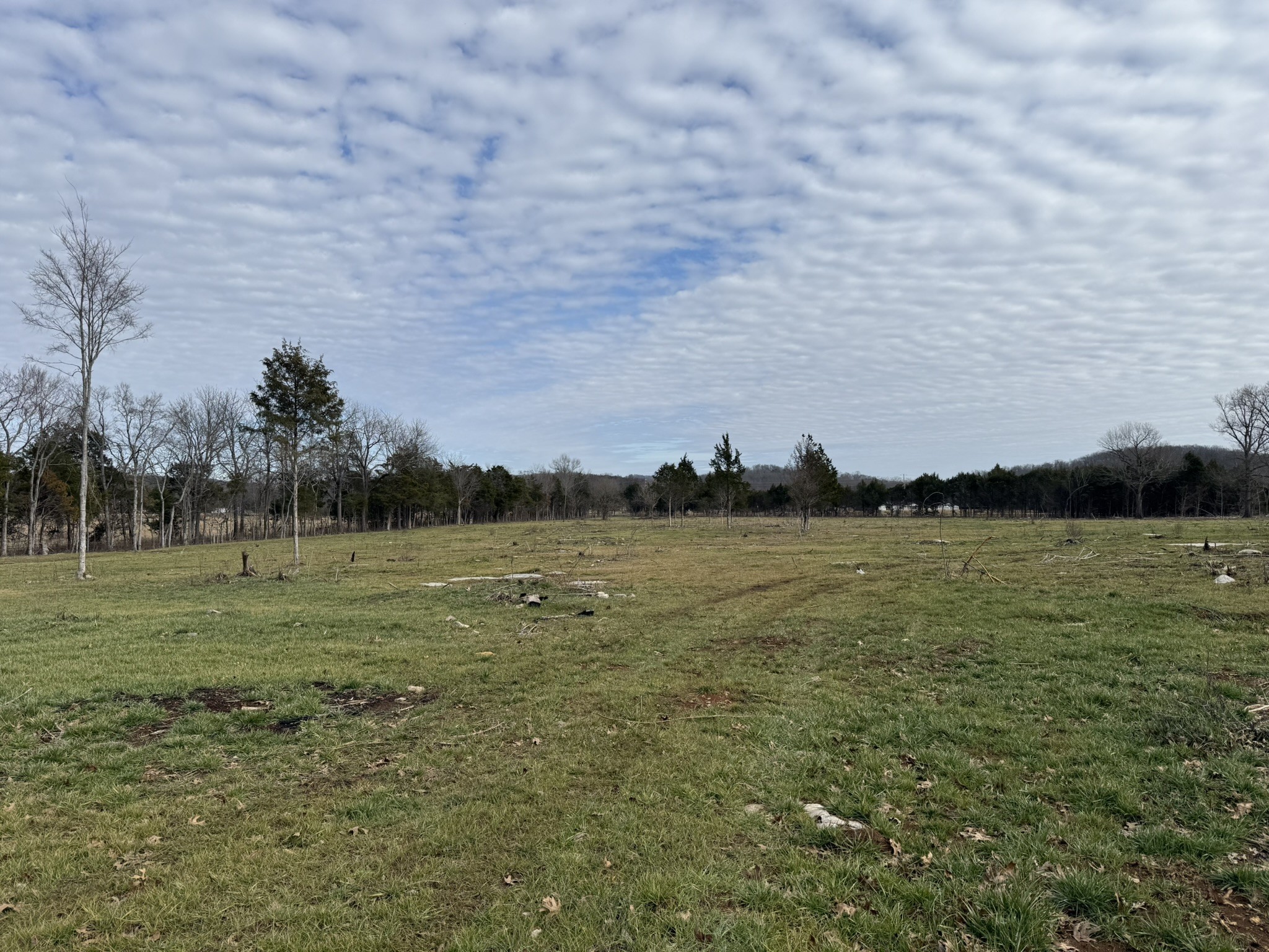 4492 Murray-Kittrell Road Readyville, TN 37149 - Photo 10 of 11