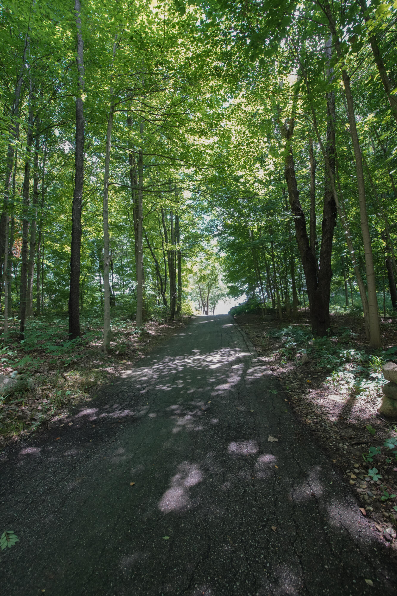 5310 Watson Road Eau Claire, MI 49111 - Photo 76 of 76 O6