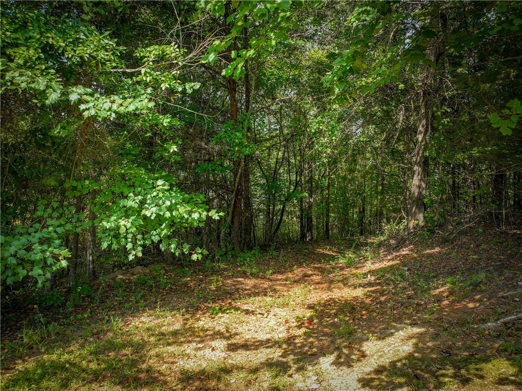 402 Home Stretch Drive Seneca, SC 29672 - Photo 33 of 38