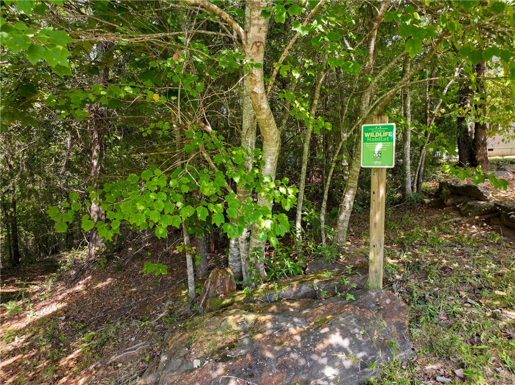 402 Home Stretch Drive Seneca, SC 29672 - Photo 34 of 38