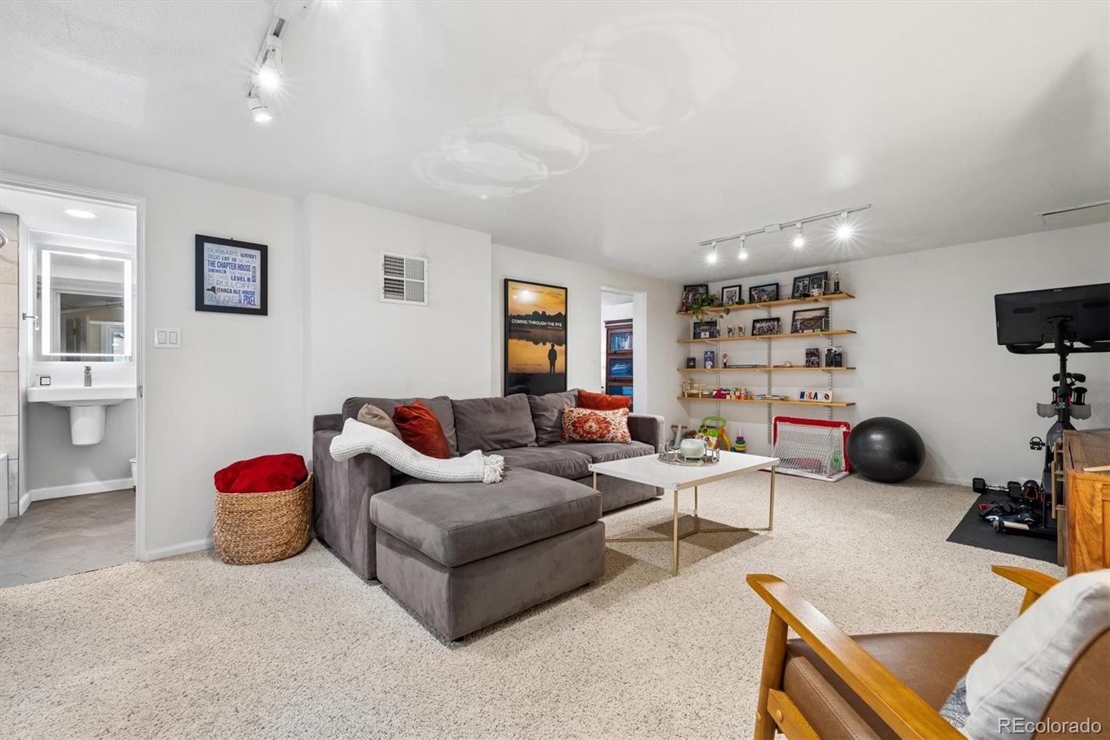 730 Ivanhoe Street Denver, CO 80220 - Photo 26 of 34 a living room with furniture and a flat screen tv