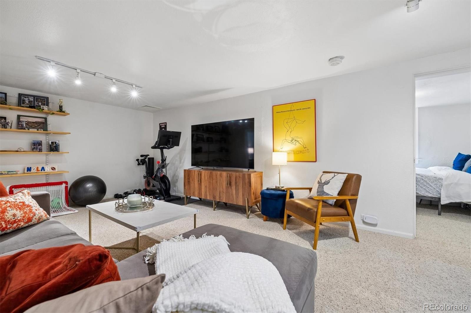 730 Ivanhoe Street Denver, CO 80220 - Photo 27 of 34 a living room with furniture and a flat screen tv