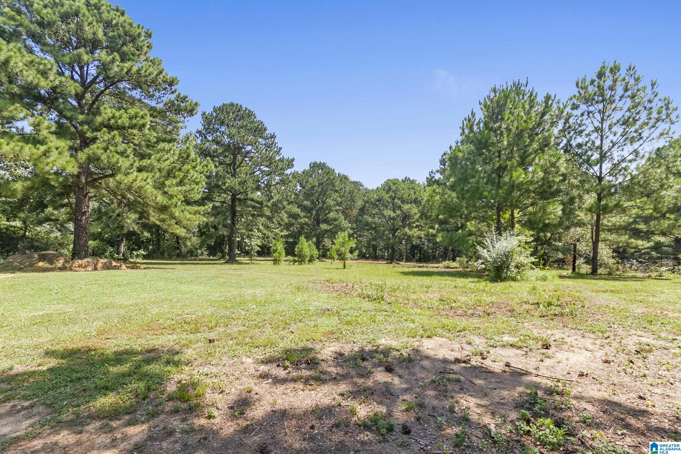 6500 Loveless Park Loop Bessemer, AL 35022 - Photo 66 of 80