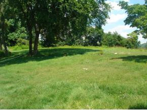 122 White Road Elizabethton, TN 37643 - Photo 6 of 6 Photo 6