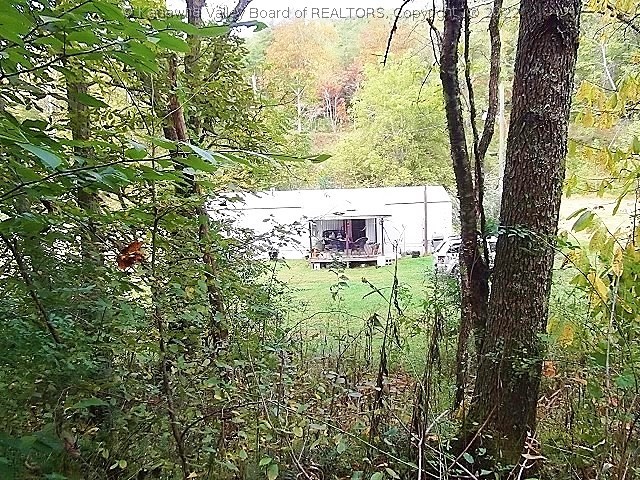 0 Big Pigeon Road Amma, WV 25005 - Photo 11 of 28 This is a view of the rear of mobile home as you go up a 4 wheeler trail.