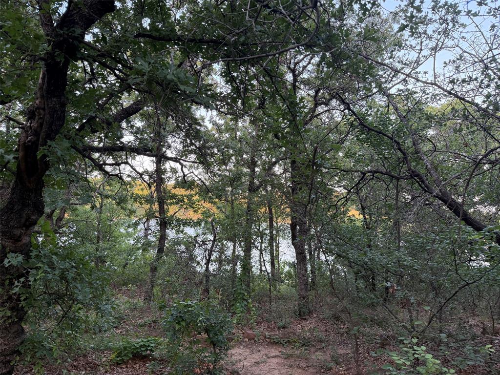 150 Timberidge Lake Road Graham, TX 76450 - Photo 24 of 25 a view of a forest with trees in the background