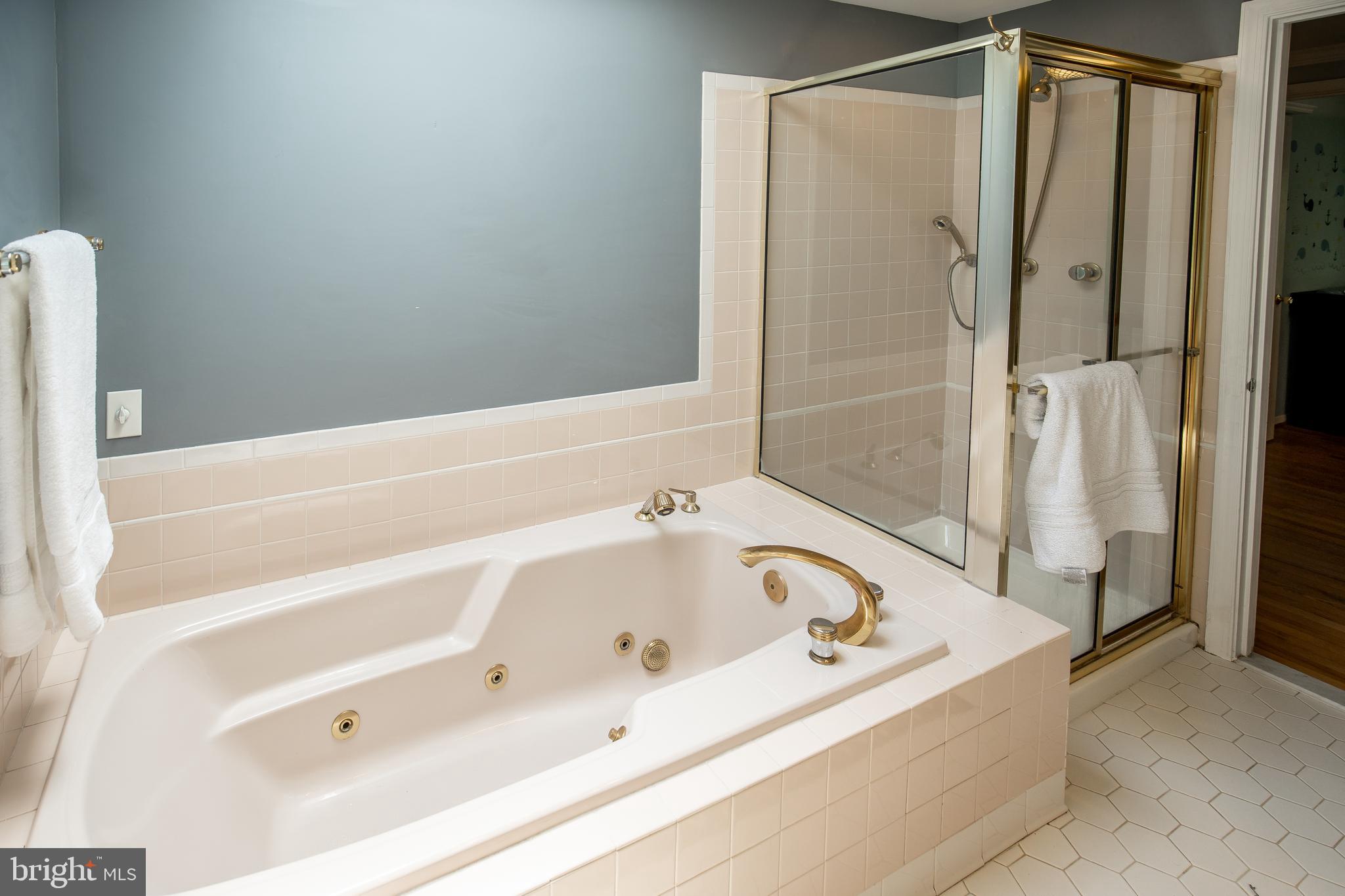 11105 Old Coach Road Potomac, MD 20854 - Photo 15 of 24 Owner's Ensuite Bath