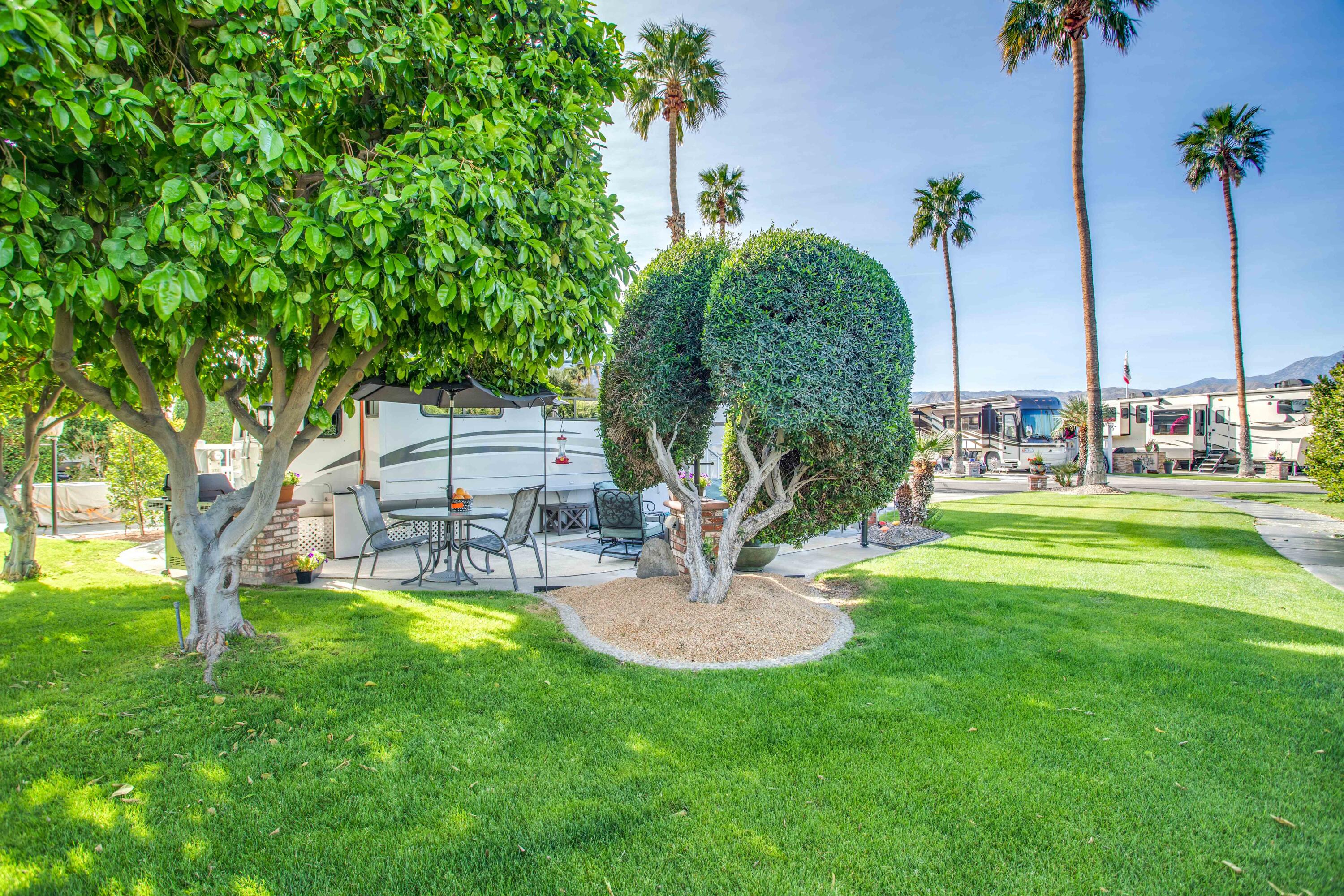 69411 Ramon Road, Unit 322 Cathedral City, CA 92234 - Photo 3 of 50 10