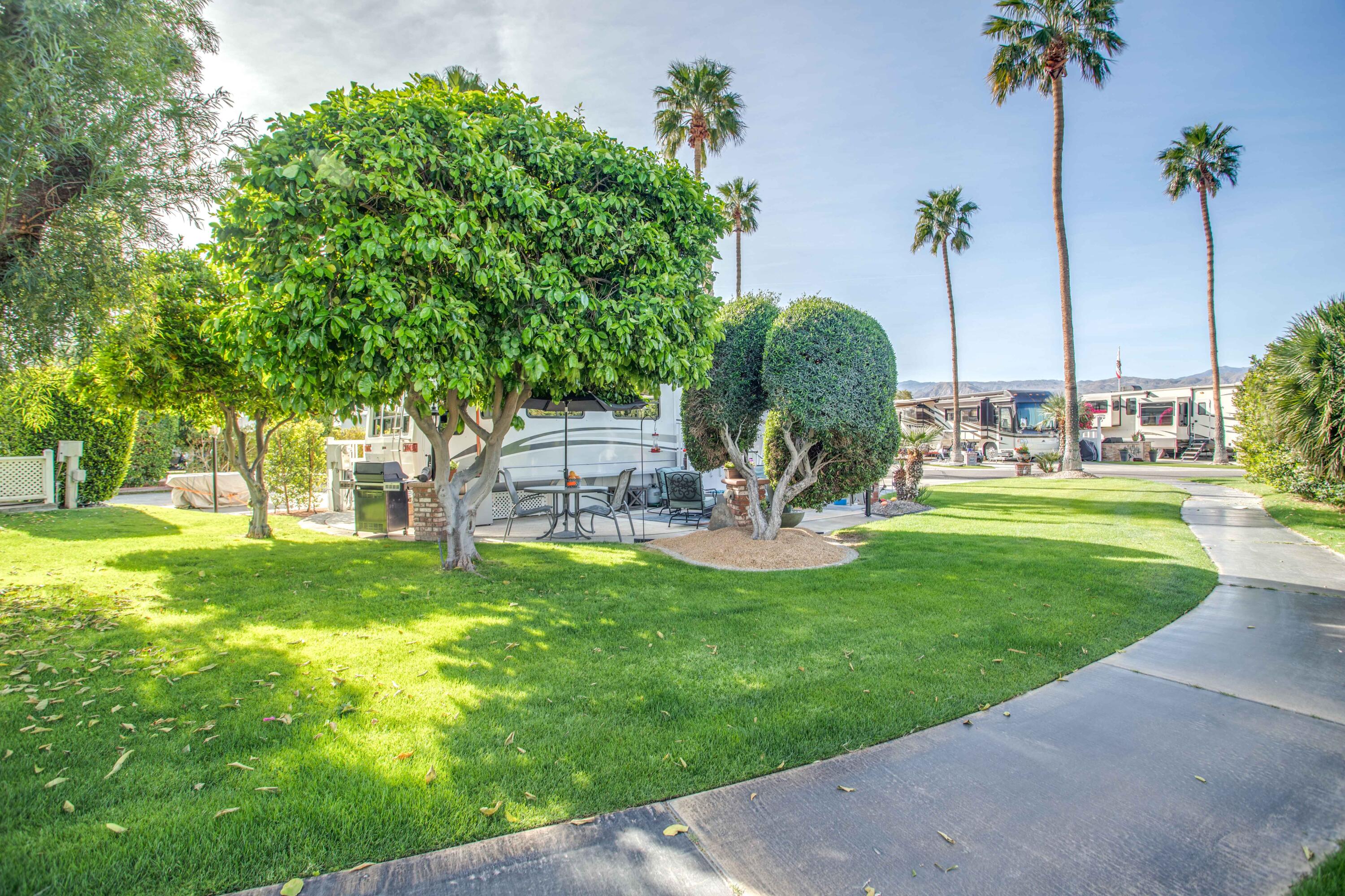 69411 Ramon Road, Unit 322 Cathedral City, CA 92234 - Photo 10 of 50 14