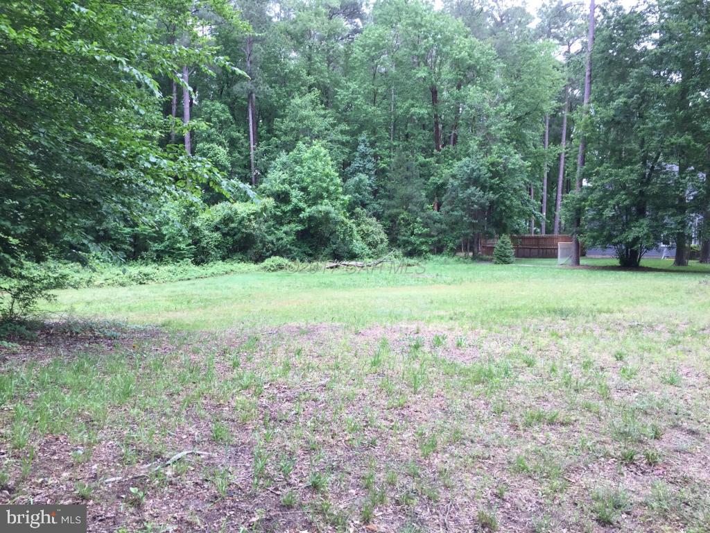 607 Douglas Road Salisbury, MD 21801 - Photo 2 of 5 Gallery Image 2