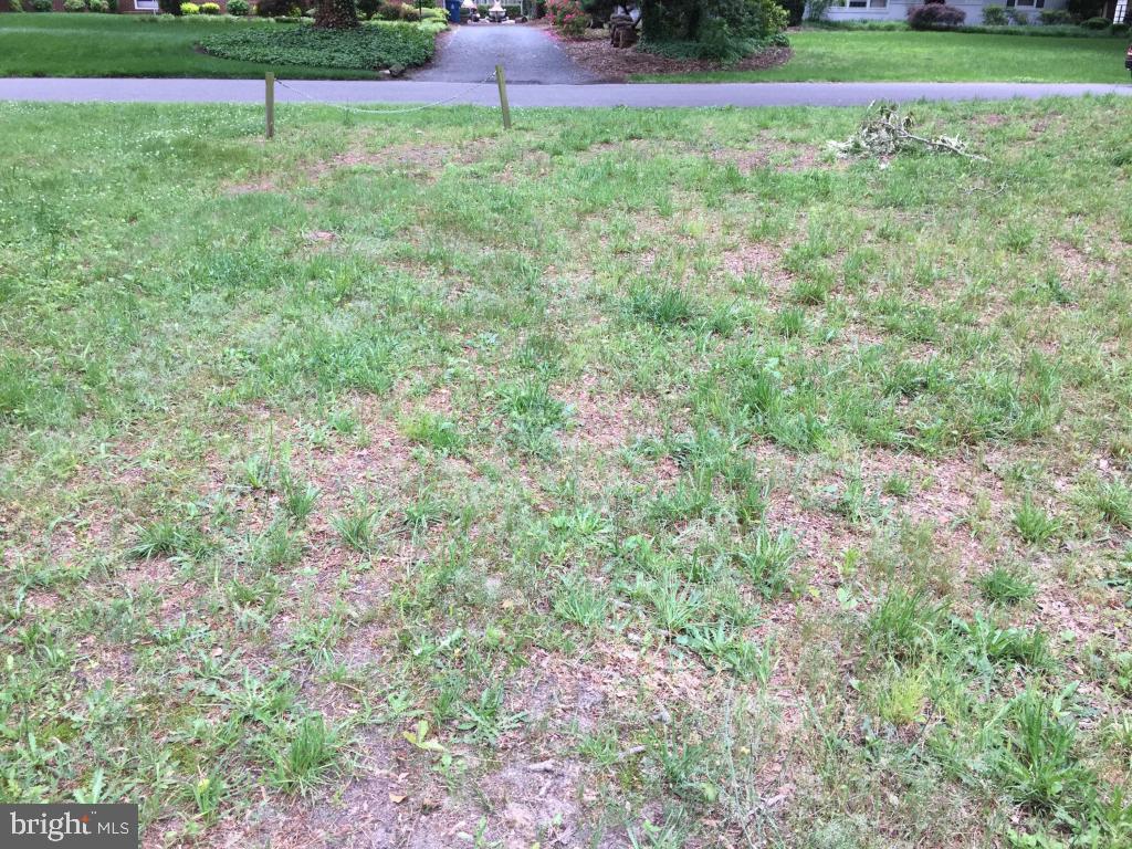 607 Douglas Road Salisbury, MD 21801 - Photo 5 of 5 Gallery Image 5
