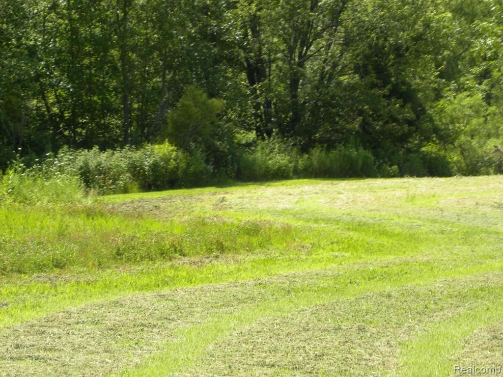 15637 Nettney Road Capac, MI 48014 - Photo 57 of 64 DSCN7697.jpg