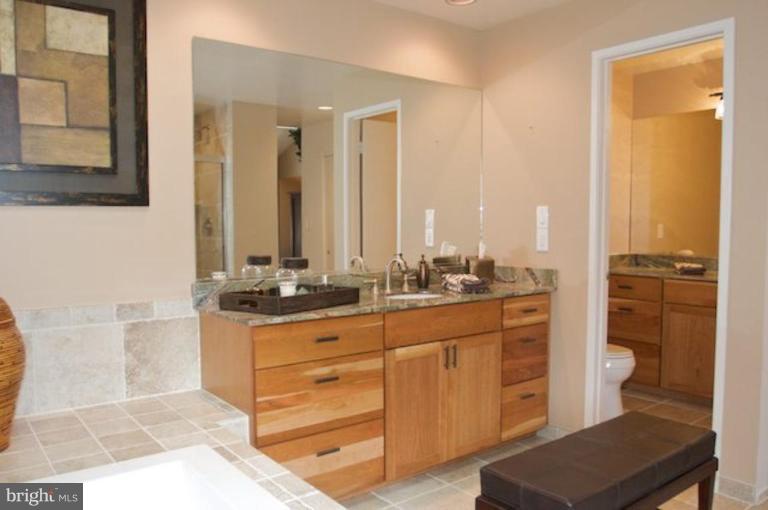 2118 South Bay Lane Reston, VA 20191 - Photo 2 of 26 Master Bath