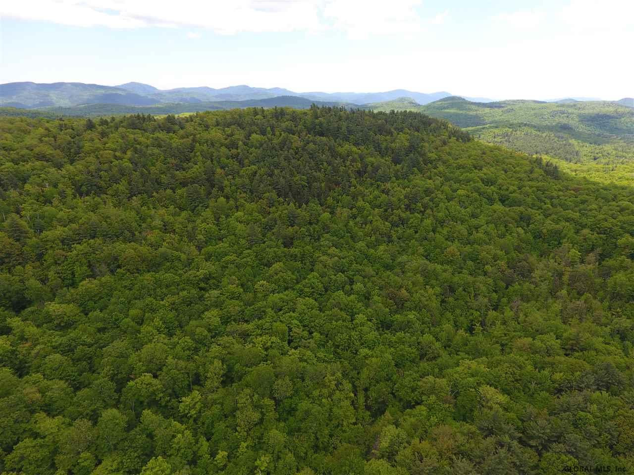 Harris Road Brant Lake, NY 12815 - Photo 11 of 13 Photo 11