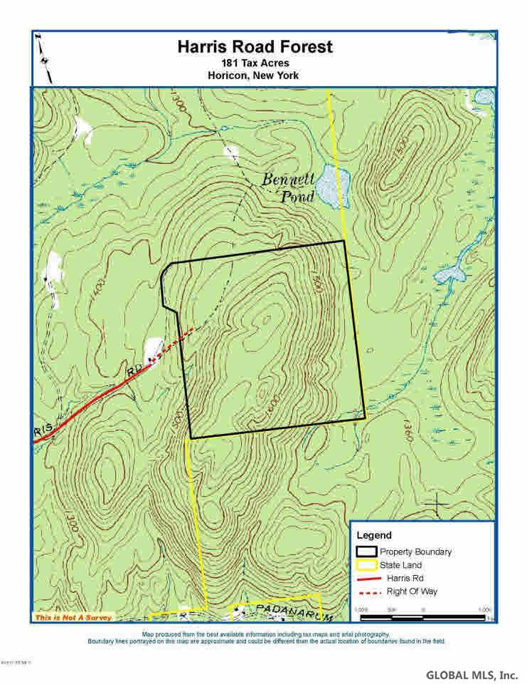 Harris Road Brant Lake, NY 12815 - Photo 8 of 13 Photo 8