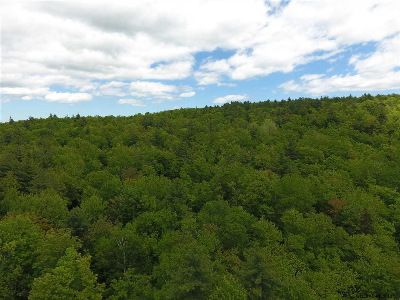 Harris Road Brant Lake, NY 12815 - Photo 9 of 13 Photo 9