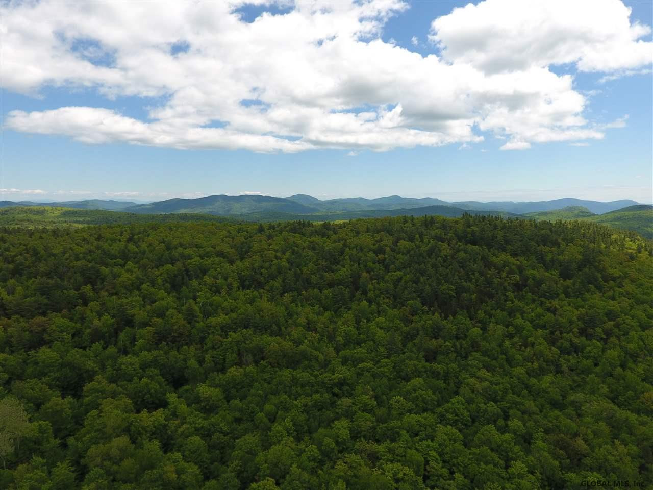 Harris Road Brant Lake, NY 12815 - Photo 10 of 13 Photo 10