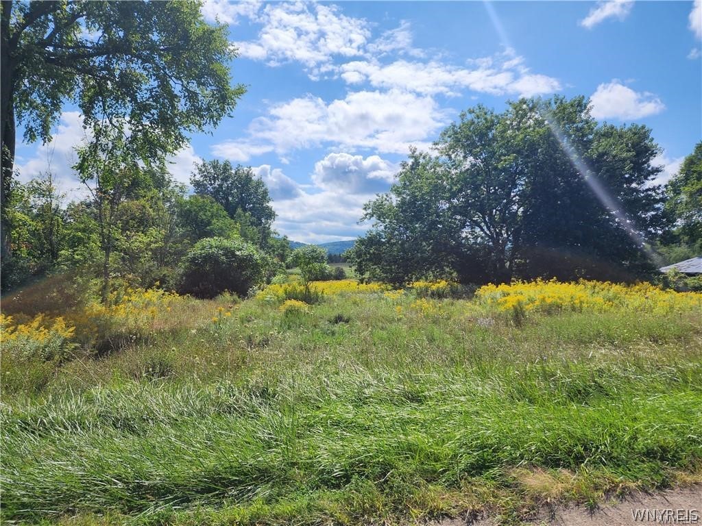 12059 Middle Road Sardinia, NY 14055 - Photo 2 of 6