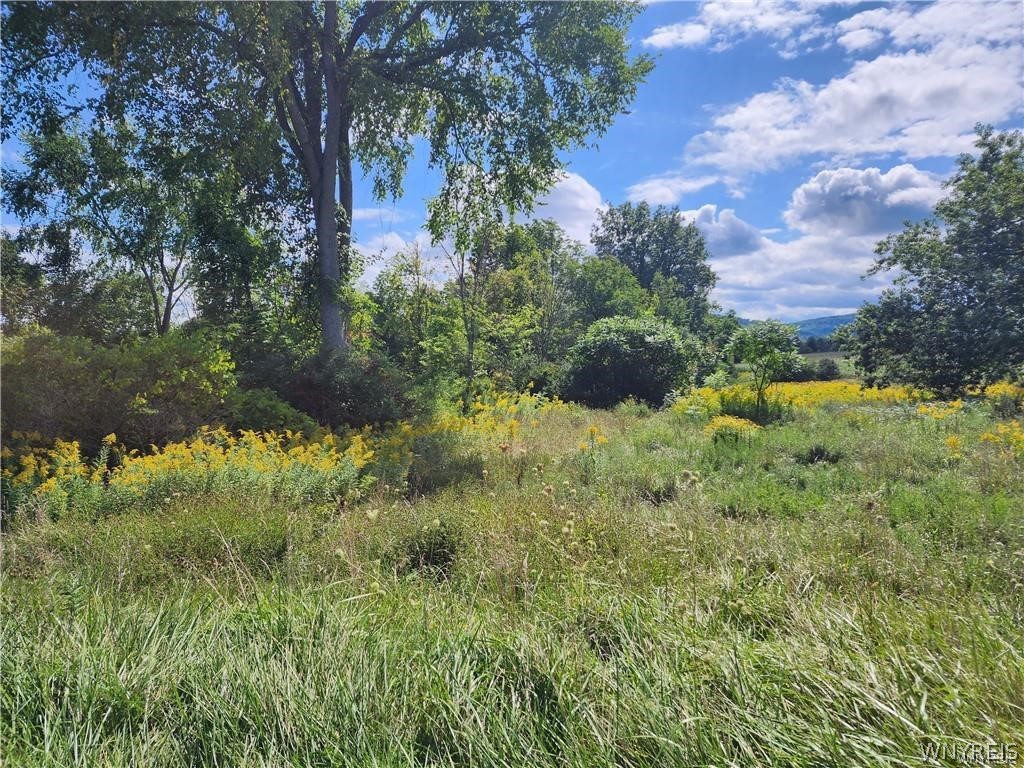 12059 Middle Road Sardinia, NY 14055 - Photo 3 of 6