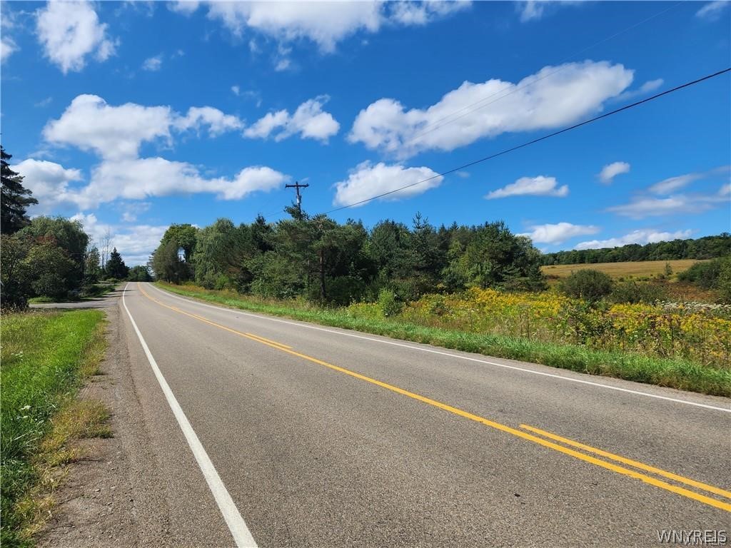 12059 Middle Road Sardinia, NY 14055 - Photo 5 of 6