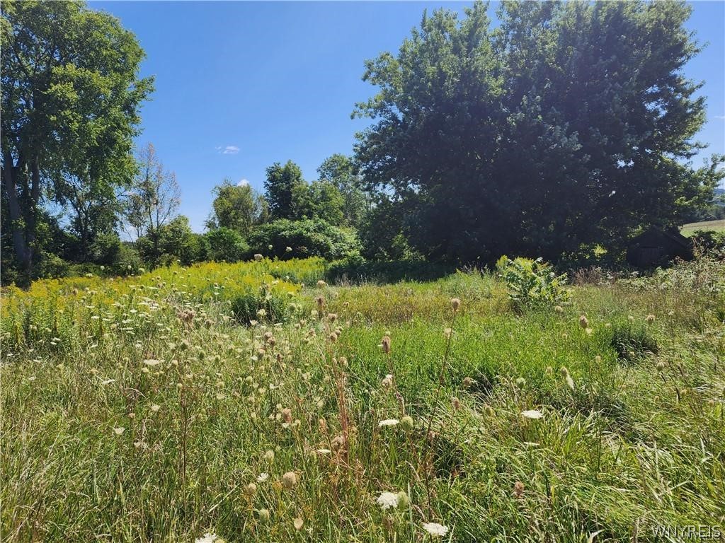 12059 Middle Road Sardinia, NY 14055 - Photo 6 of 6