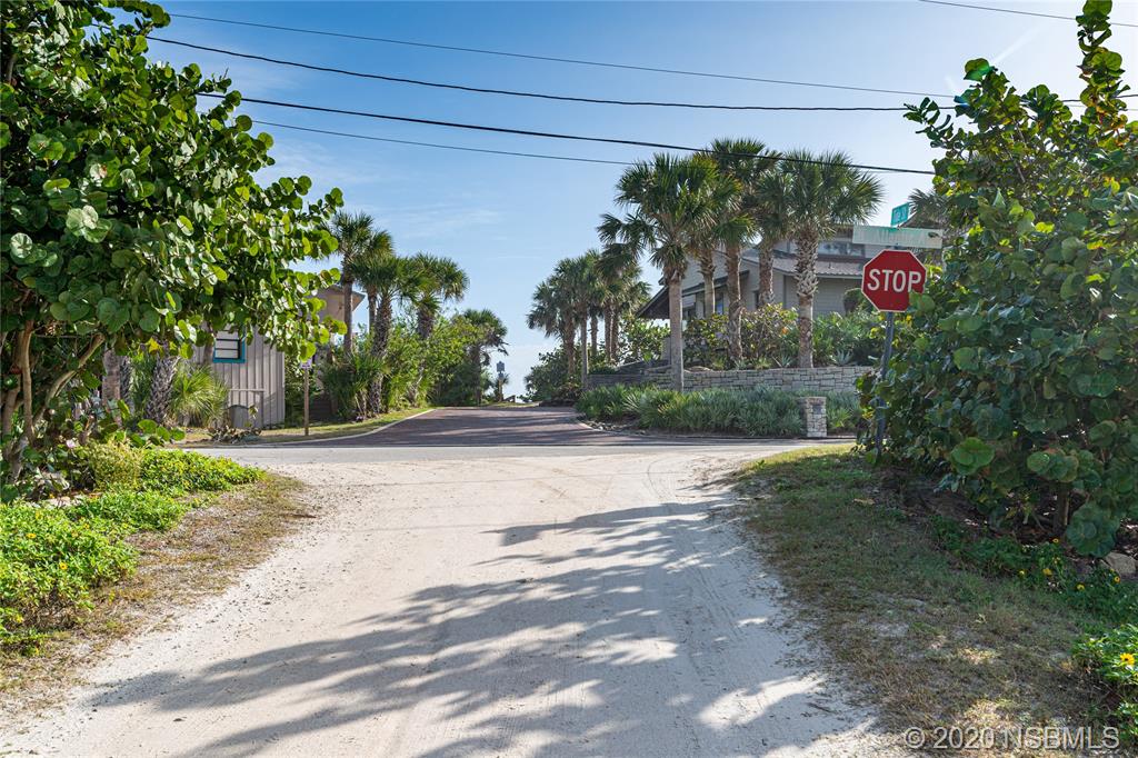 405 Tide Street New Smyrna Beach, FL 32169 - Photo 25 of 33 a pathway of a yard
