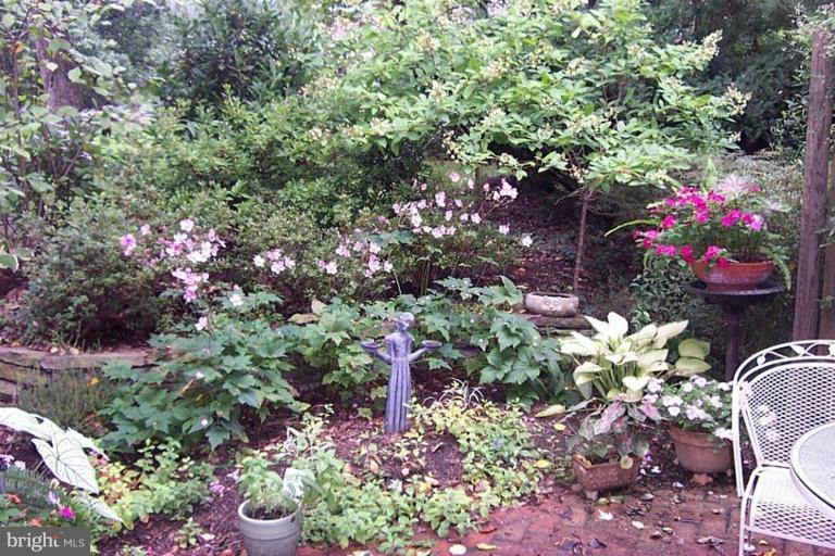 1618 Wainwright Drive Reston, VA 20190 - Photo 7 of 18 Garden