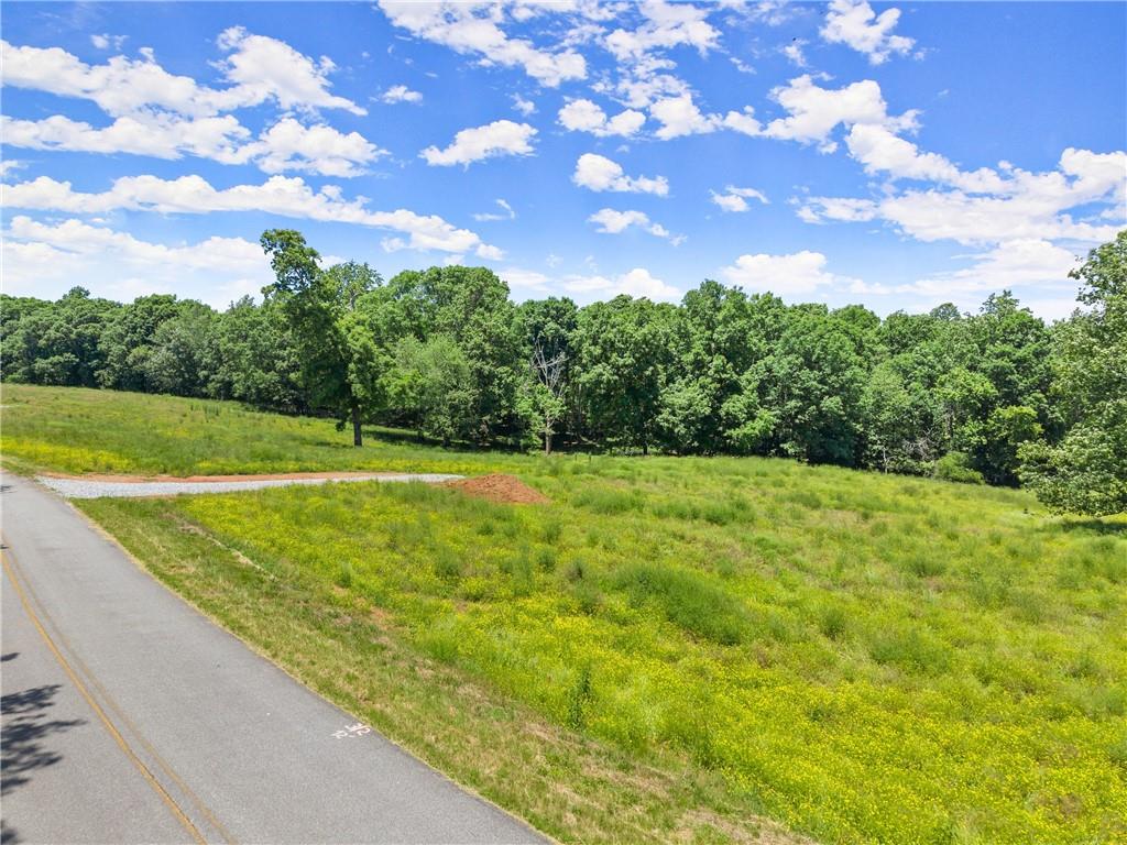 0 Arthur Allen Road Cleveland, GA 30528 - Photo 3 of 19