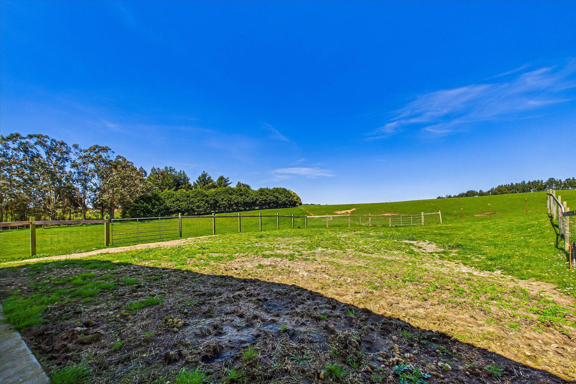 255 Hillcrest Road Loleta, CA 95551 - Photo 88 of 105 088-255 Hillcrest Road-178