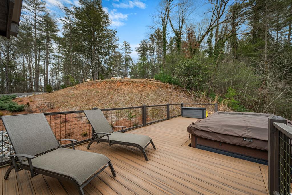 164 Waterdance Trail Blue Ridge, GA 30513 - Photo 77 of 97 Gallery Image 77