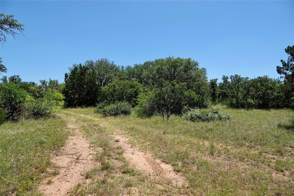 219 C R 550 Mullin, TX 76864 - Photo 9 of 37 a view of a yard with trees in the background